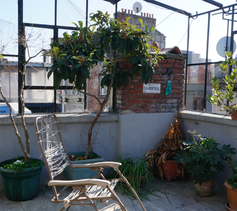 VB-pintura-terraza-y-azotea